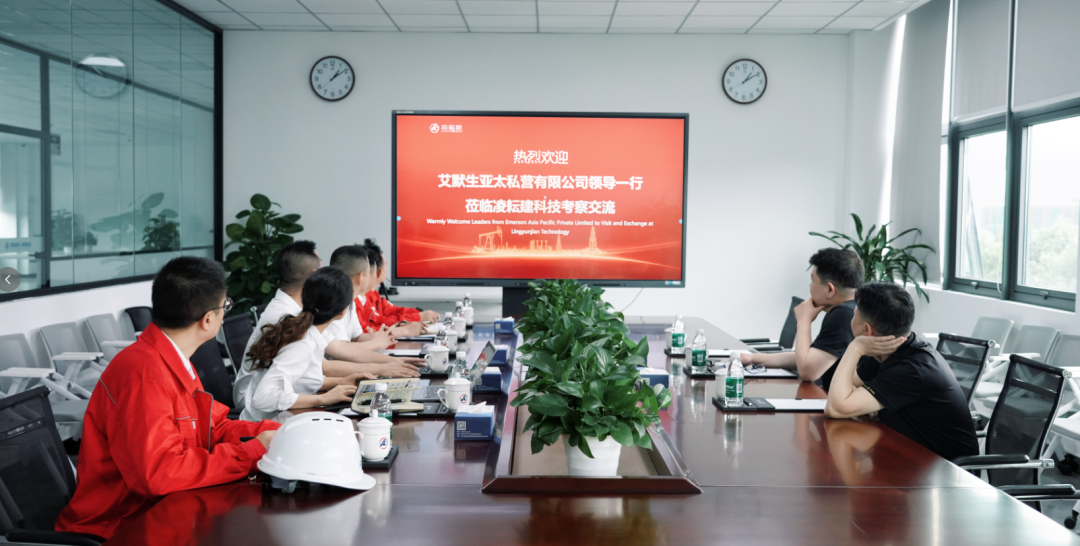 艾默生亚太私营有限公司大中华片区项目经理带队莅临凌耘建科技考察交流